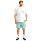 Quiksilver Taxer Walkshorts