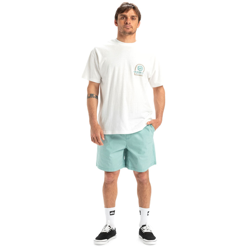 Quiksilver Taxer Walkshorts