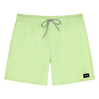 Rip Curl Daily Volley Boardshorts