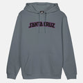 Santa Cruz Arch Strip Hoodie