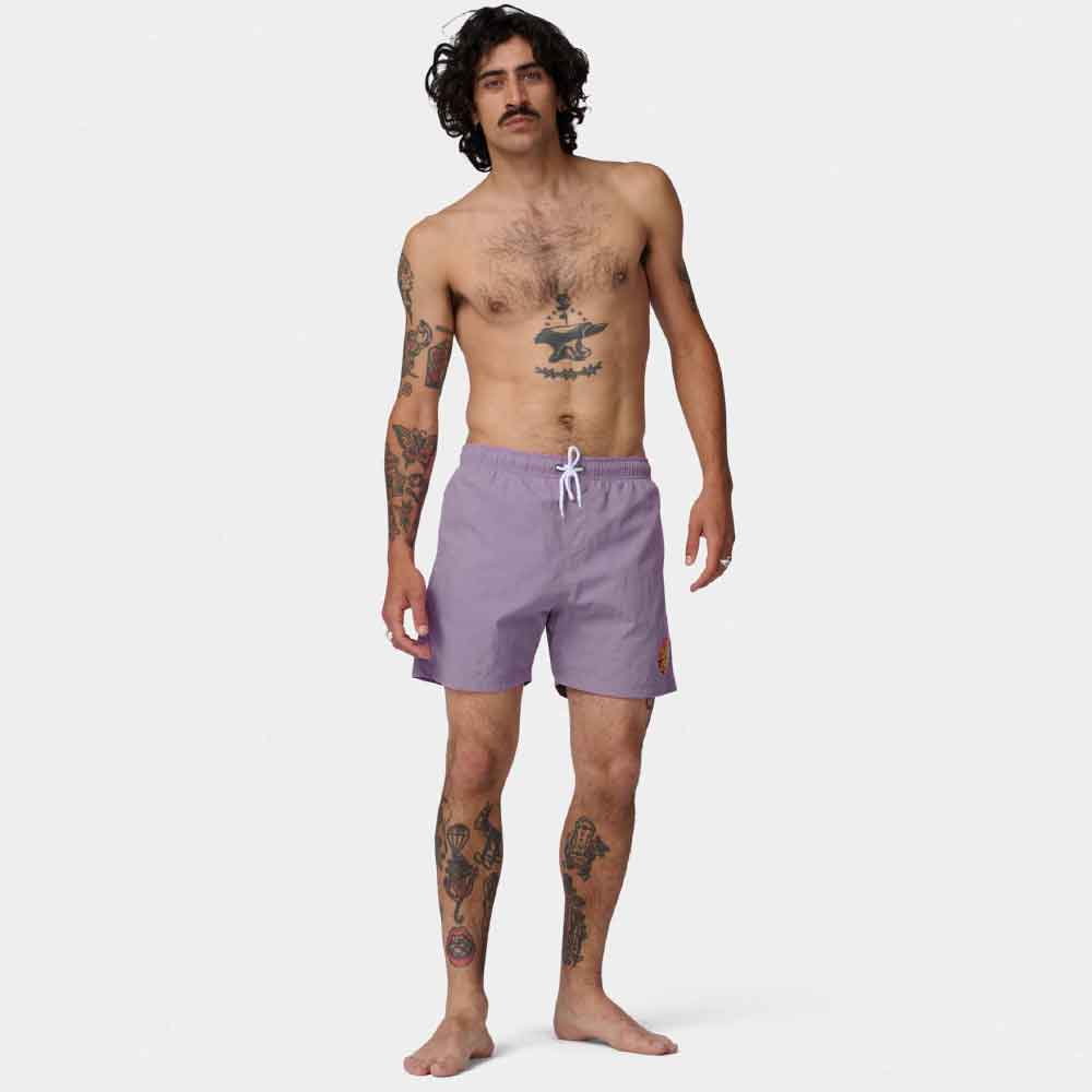 Santa Cruz Classic Dot Swimshort