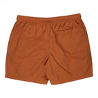 Santa Cruz Classic Dot Swimshort
