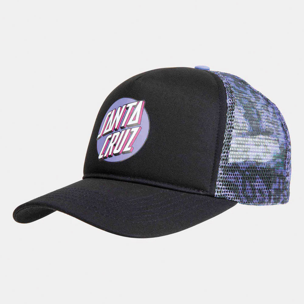 Santa Cruz Control Dot Meshback