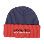 Santa Cruz Youth Screaming Connect Beanie