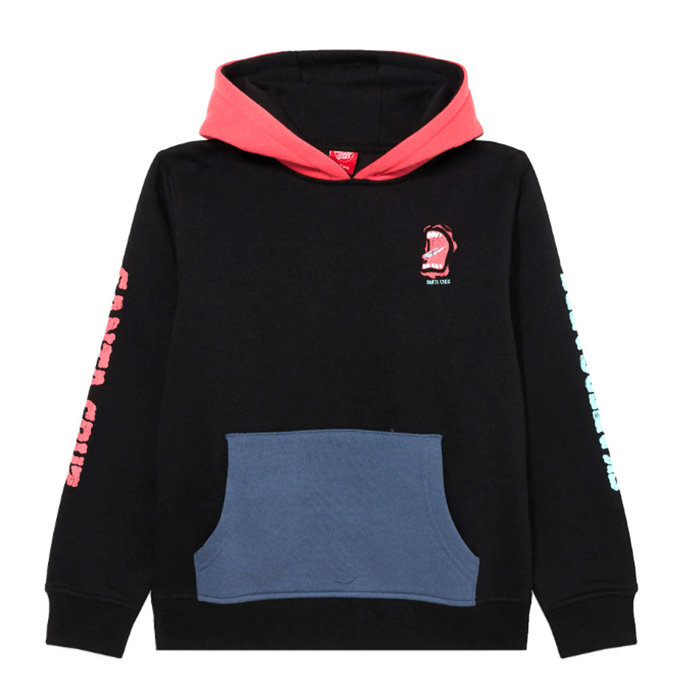 Santa Cruz Youth VTG Screaming Connect Hoody