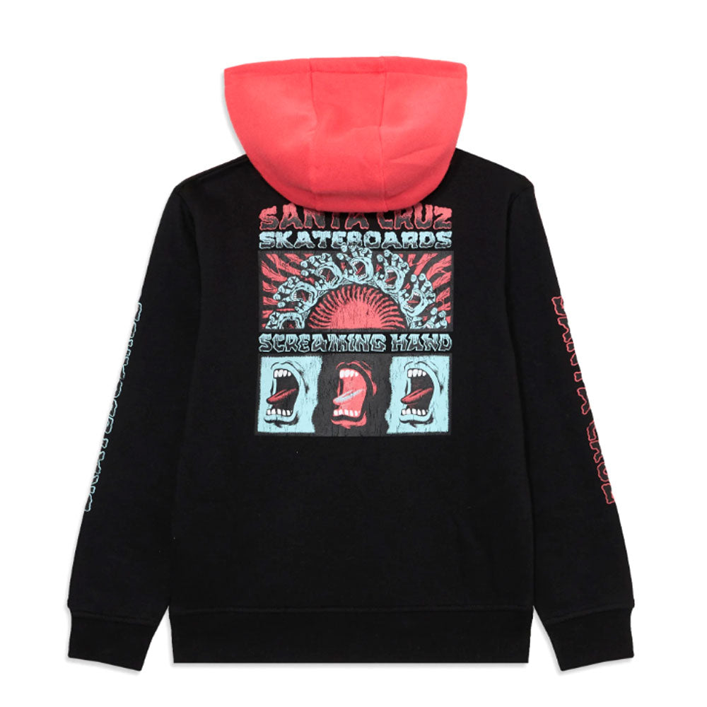 Santa Cruz Youth VTG Screaming Connect Hoody