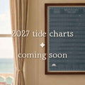 Beach of Brighton 2027 Tide Poster Blue