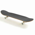 Zoo York Sunrise 8.25" Complete