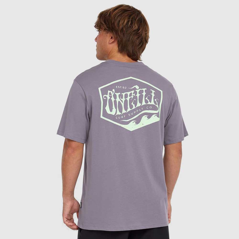 O'Neill  Box Logo T-Shirt