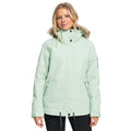 Roxy Meade Snowboard/Ski Jacket - Cameo Green