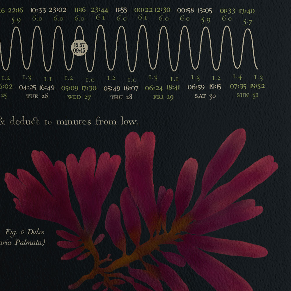 Beach of Brighton Botanical Black 2023 Tide Poster