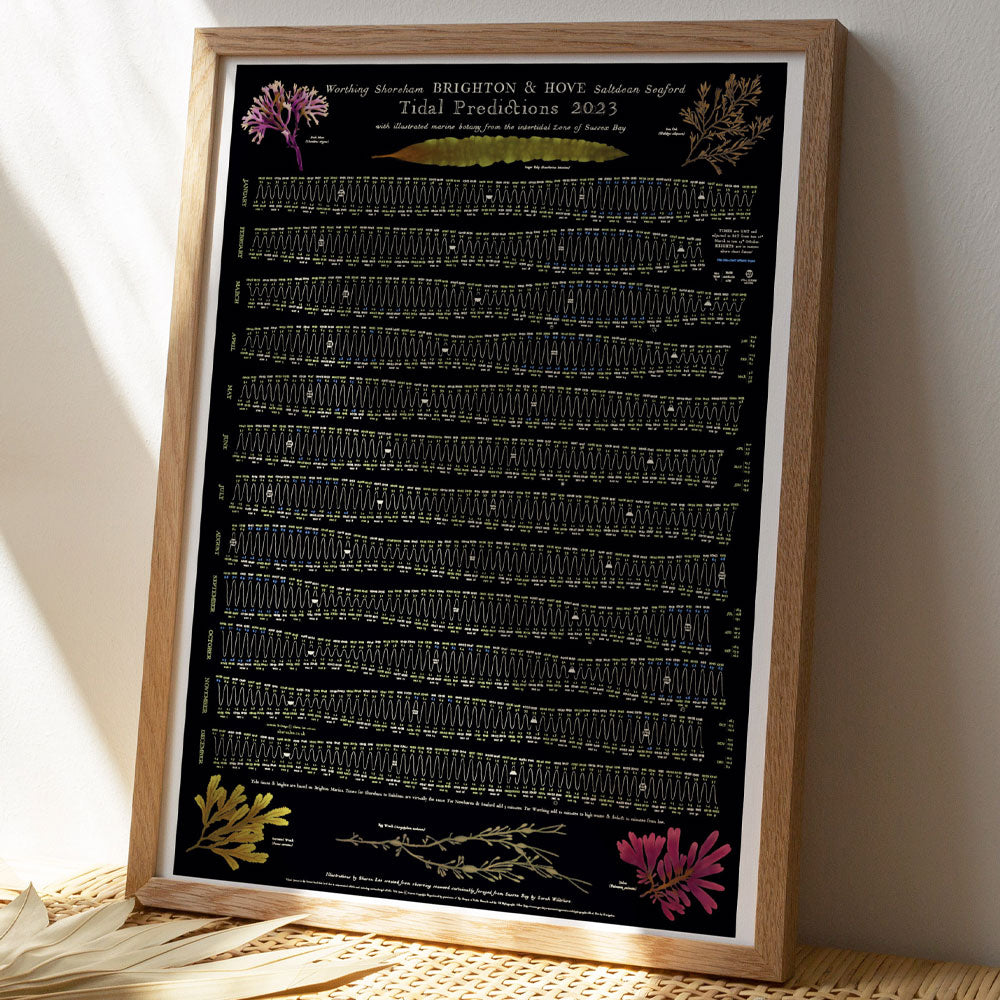 Beach of Brighton Botanical Black 2023 Tide Poster