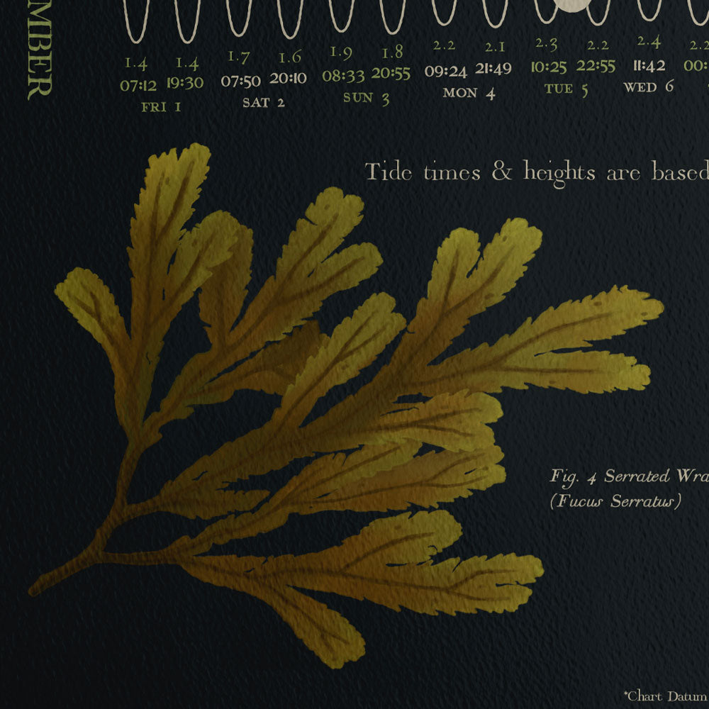 Beach of Brighton Botanical Black 2023 Tide Poster