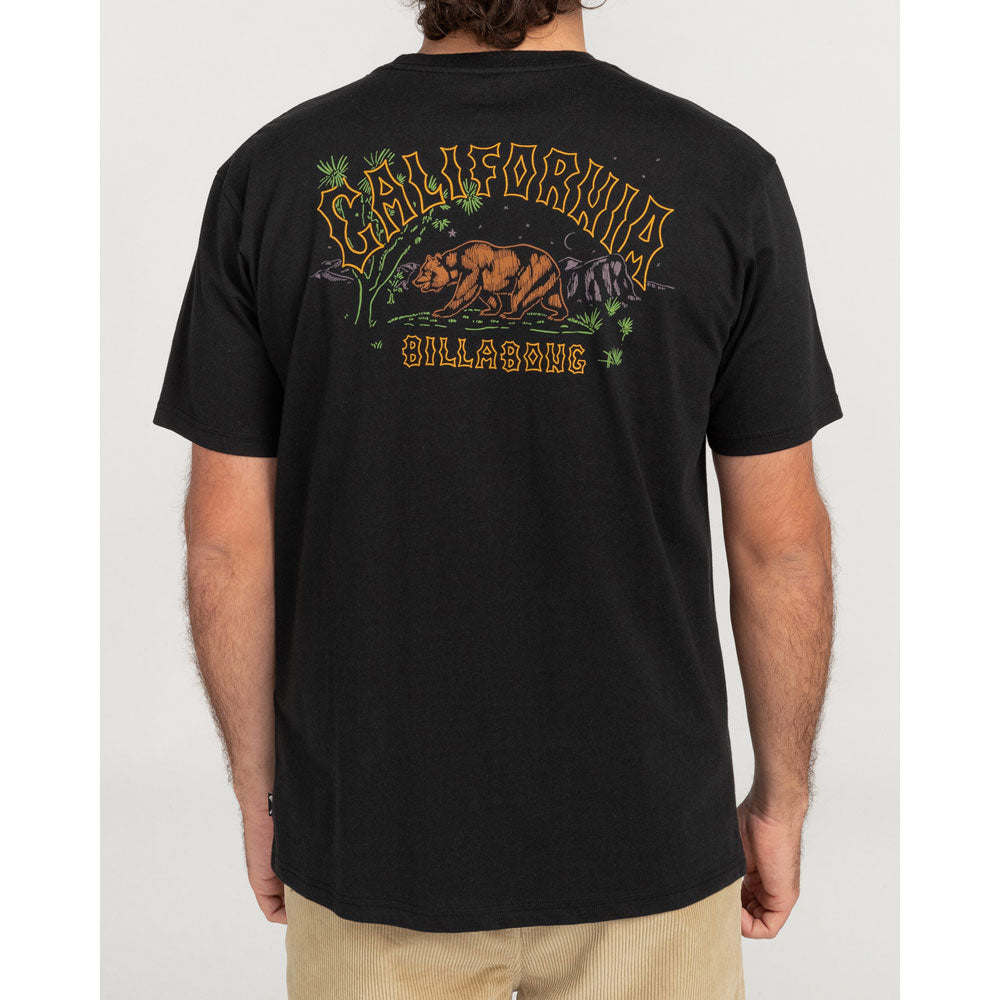 Billabong Arch Dreamy Place T-Shirt