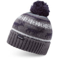 Dakine Maxwell Beanie