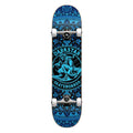Darkstar DST Magic Carpet Youth 7.375 Complete Skateboard - Aqua