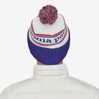 Patagonia Powder Town Beanie