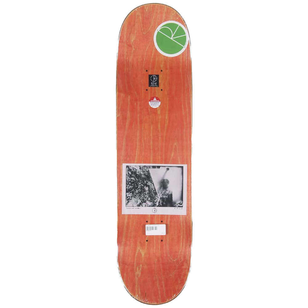 Polar Paul Grund Man with a Window 8.375" Deck