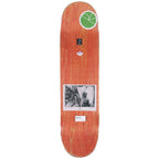 Polar Paul Grund Man with a Window 8.375" Deck