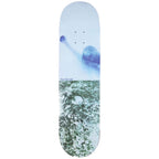 Polar Paul Grund Man with a Window 8.375" Deck