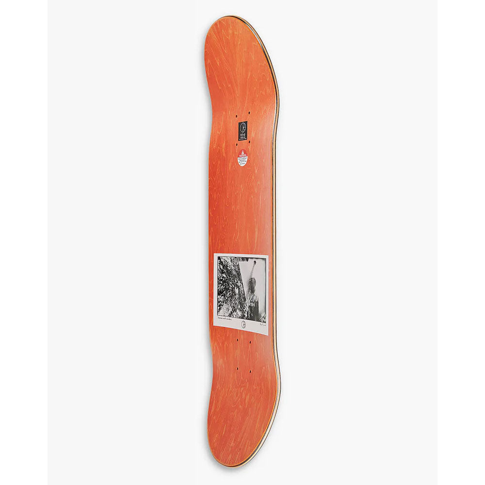 Polar Paul Grund Man with a Window 8.375" Deck