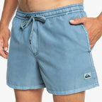 Quiksilver Everyday Surfwash Shorts