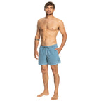 Quiksilver Everyday Surfwash Shorts