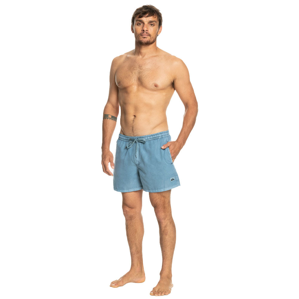 Quiksilver Everyday Surfwash Shorts