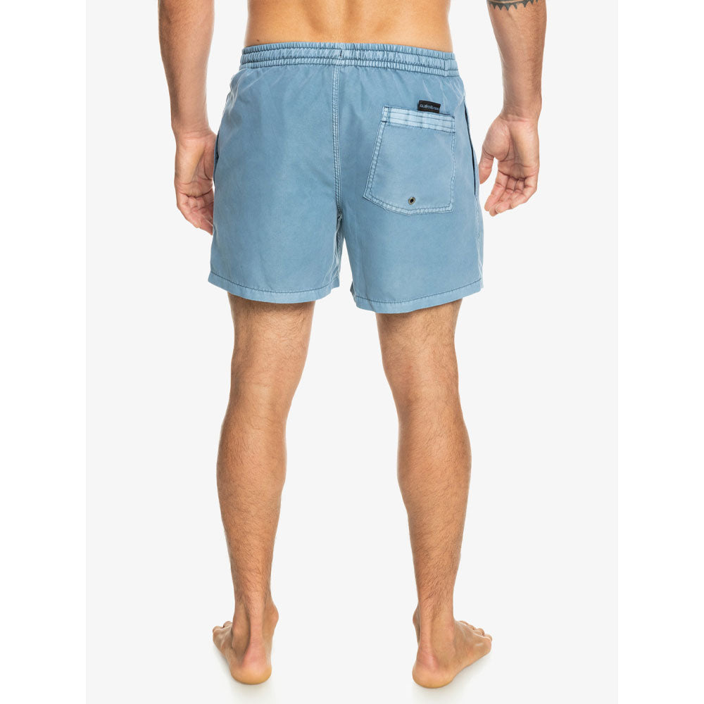 Quiksilver Everyday Surfwash Shorts