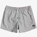 Quiksilver Everyday Volley 15 Boardshorts