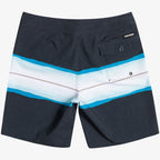 Quiksilver Resin Tint Shorts