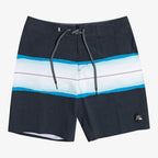 Quiksilver Resin Tint Shorts