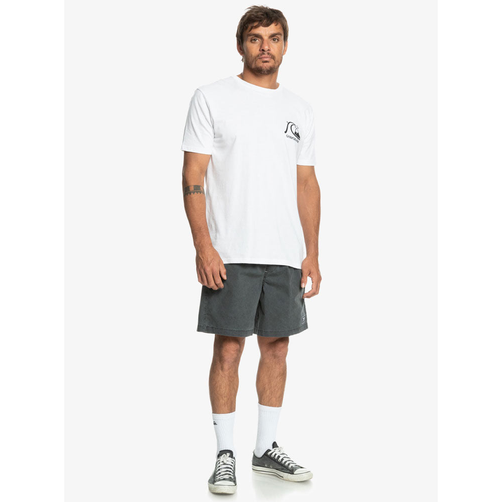 Quiksilver Saturn Taxer Walkshorts