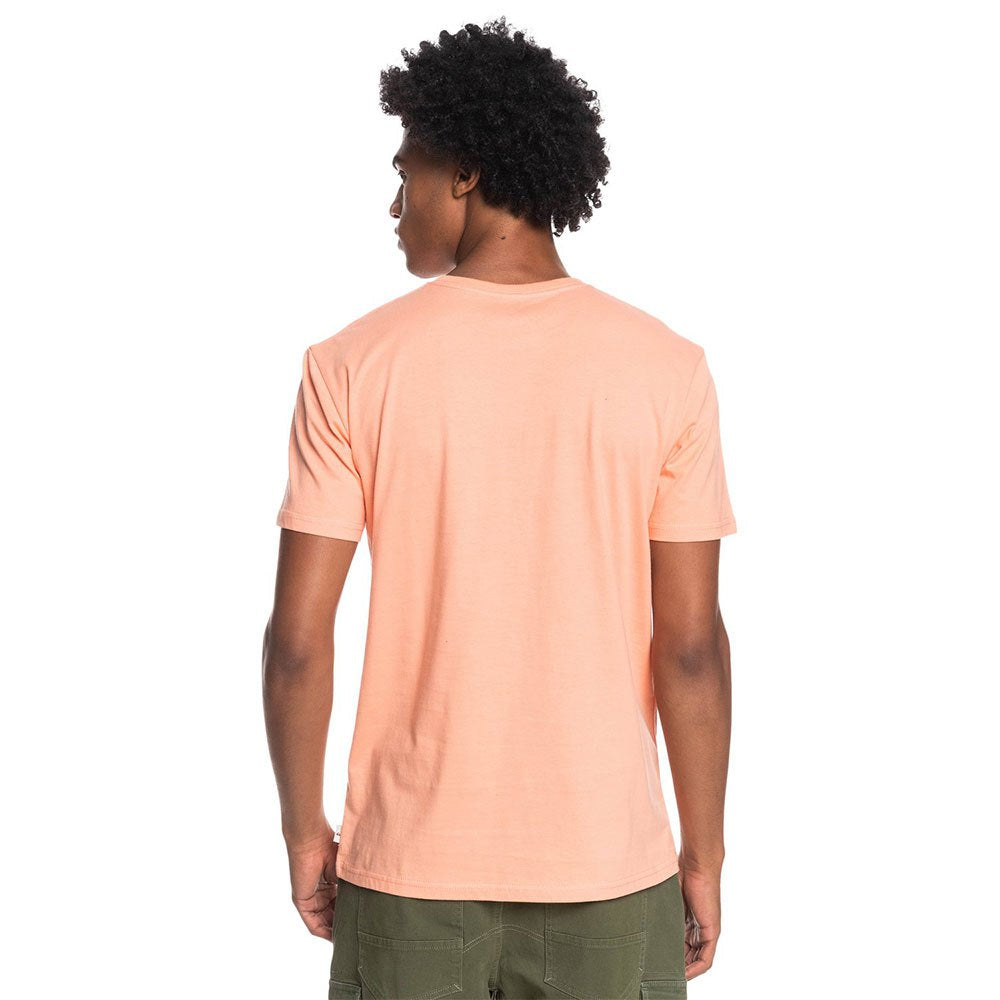 Quiksilver Silver Lining T-Shirt