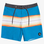 Quiksilver Surfsilk Resin Tint 19 Boardshorts