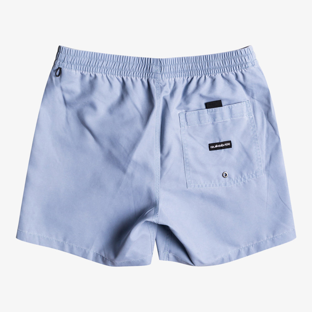 Quiksilver Surfwash 15 Boardshorts
