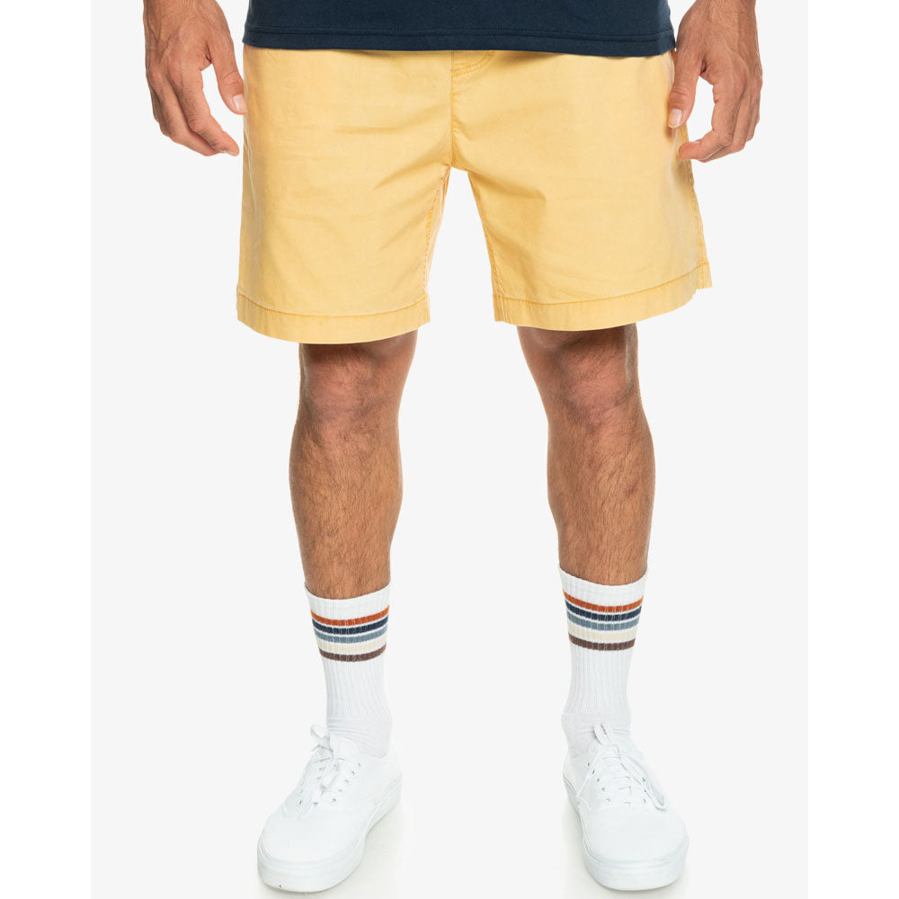 Quiksilver Taxer Walkshorts