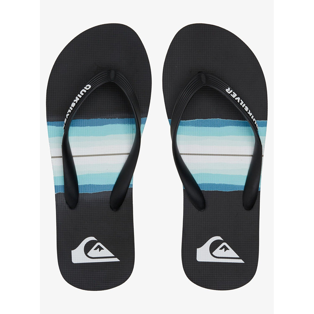 Quiksilver Molokai Resin Tint Flip Flops