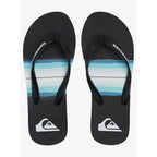 Quiksilver Molokai Resin Tint Flip Flops