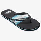Quiksilver Molokai Resin Tint Flip Flops