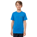 Rip Curl Boys Icons UV Top