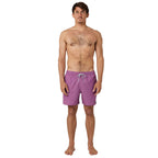 Rip Curl Daily Volley Boardshorts