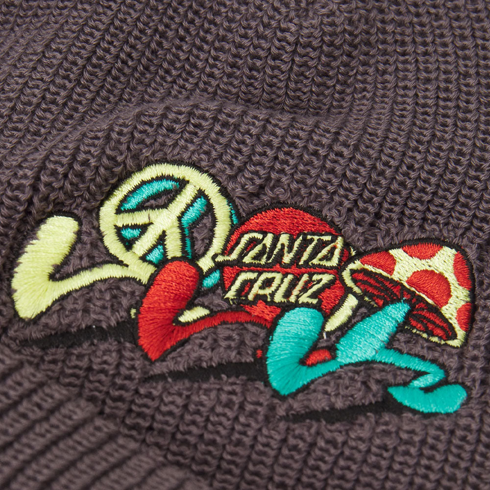 Santa Cruz Journey Beanie