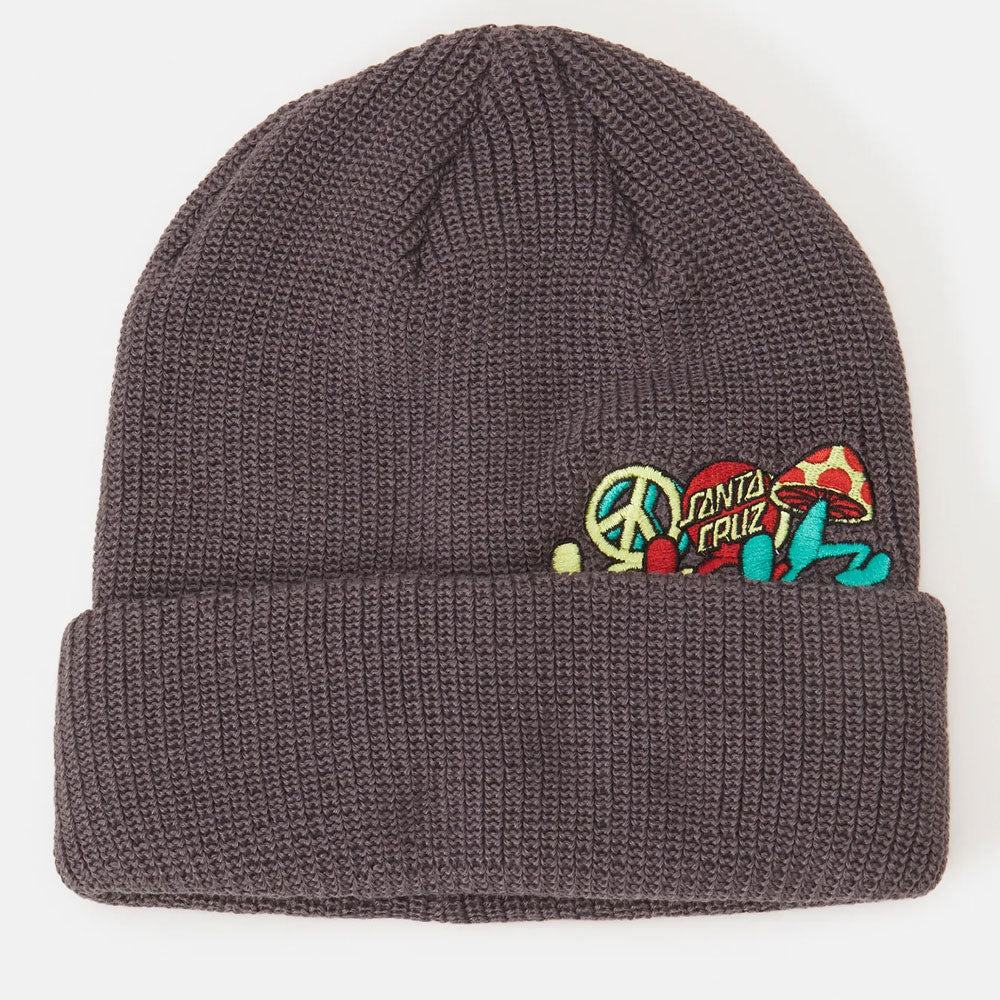 Santa Cruz Journey Beanie