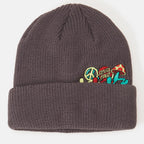 Santa Cruz Journey Beanie