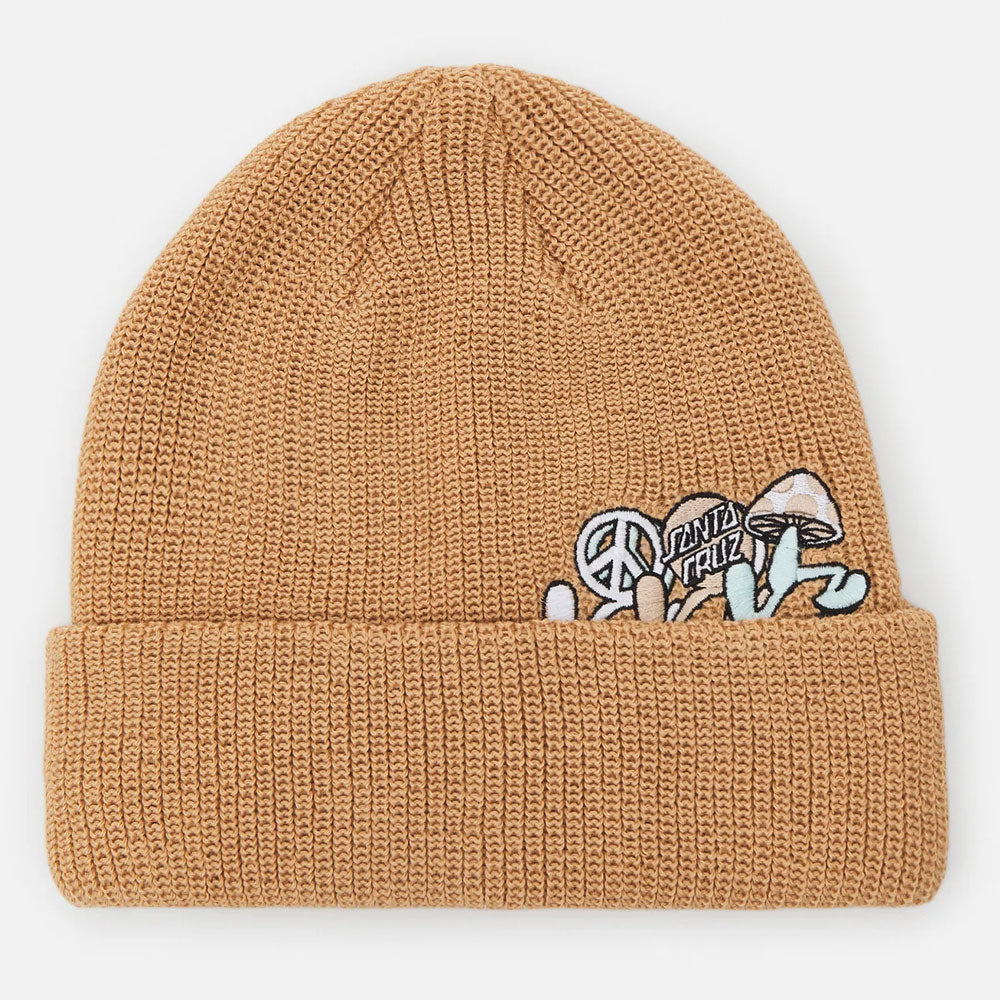 Santa Cruz Journey Beanie