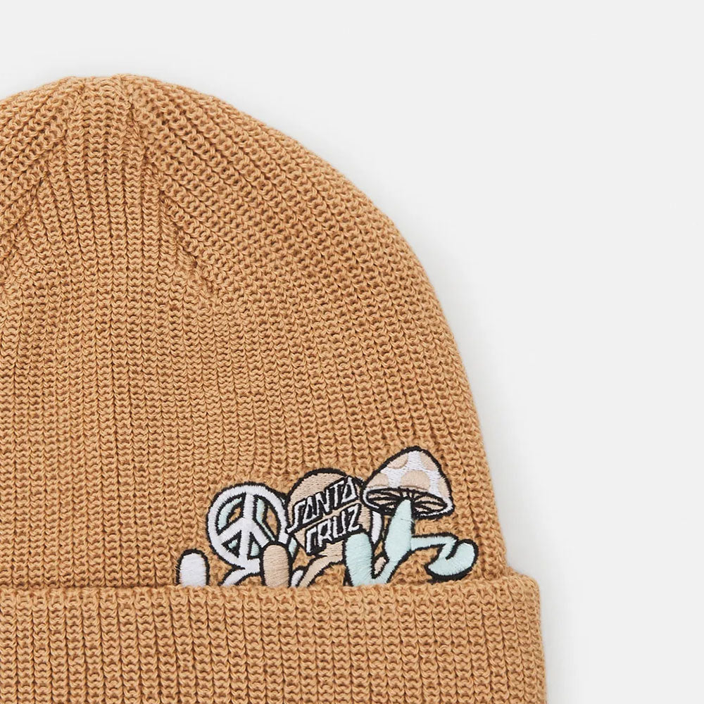 Santa Cruz Journey Beanie