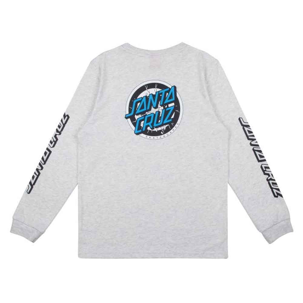 Santa Cruz Youth Rob Target Long Sleeve T-Shirt