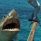 Stance Landlord Blue Socks