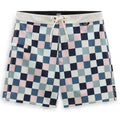 Vans The Daily Check Boardshorts